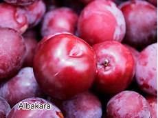 Albakara Dry Fruit