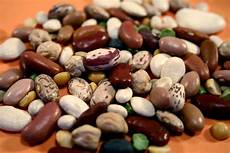Boiled Dried Beans